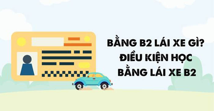 Bằng B2 Lái Xe Mấy Tấn? Quy Định Pháp Luật Mới Nhất - bằng b2 lái xe mấy tấn