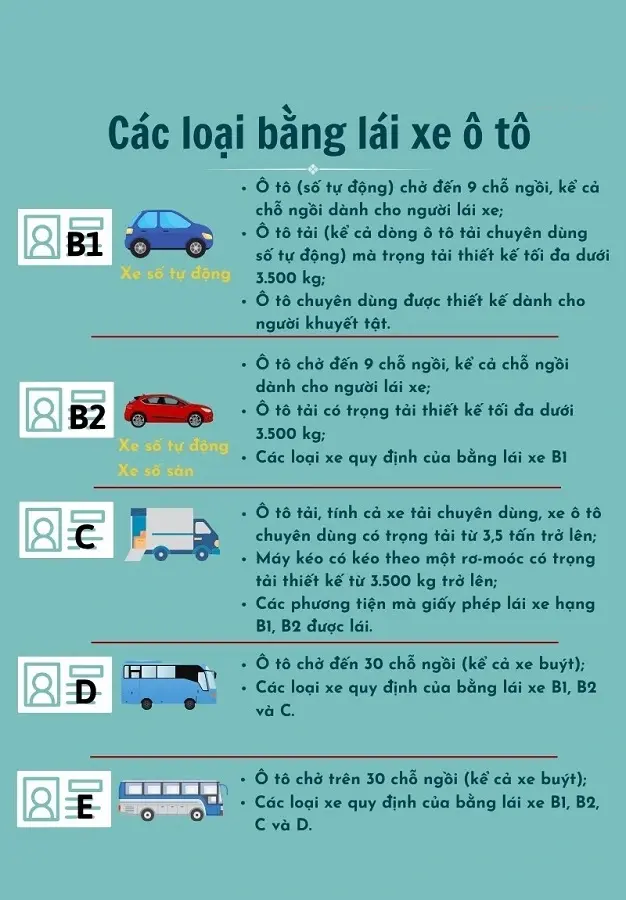 Phân Biệt Bằng B2 Với Các Hạng Bằng Lái Xe B1, C, D - bằng b2 lái xe mấy tấn