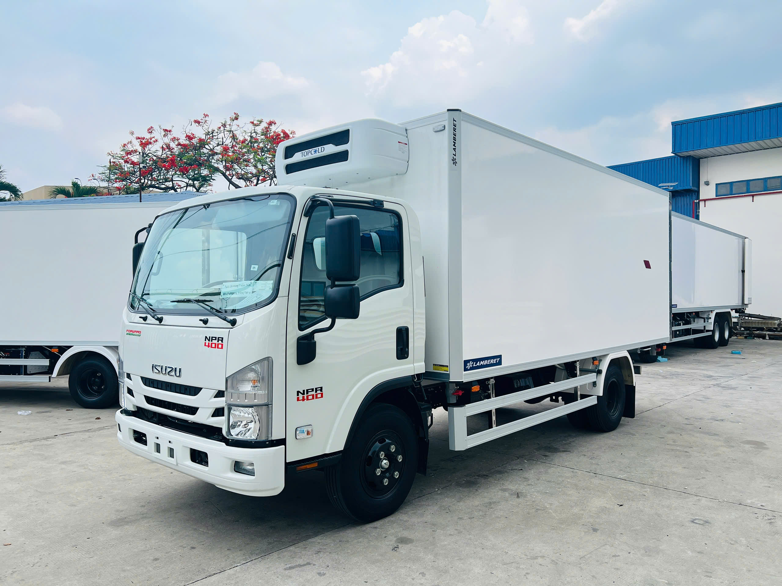 Xe Tải Isuzu 3T5 Thùng Đông Lạnh